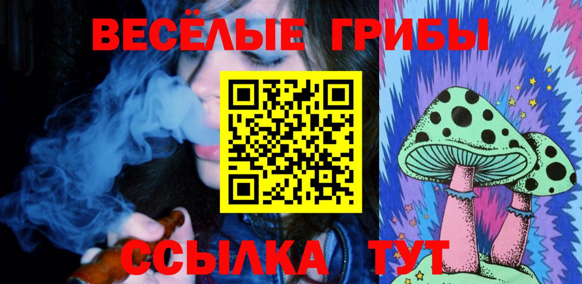 Псилоцибиновые грибы GOLDEN TEACHER Александров